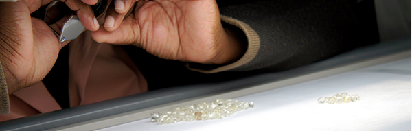 サイトホルダーから直接買い付け